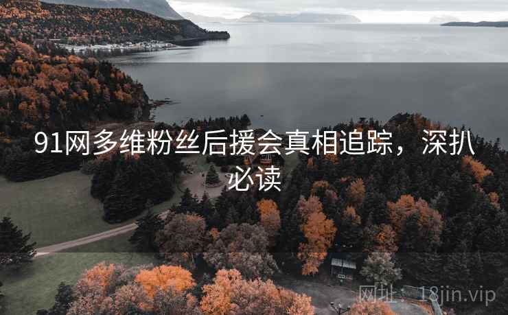 91网多维粉丝后援会真相追踪，深扒必读