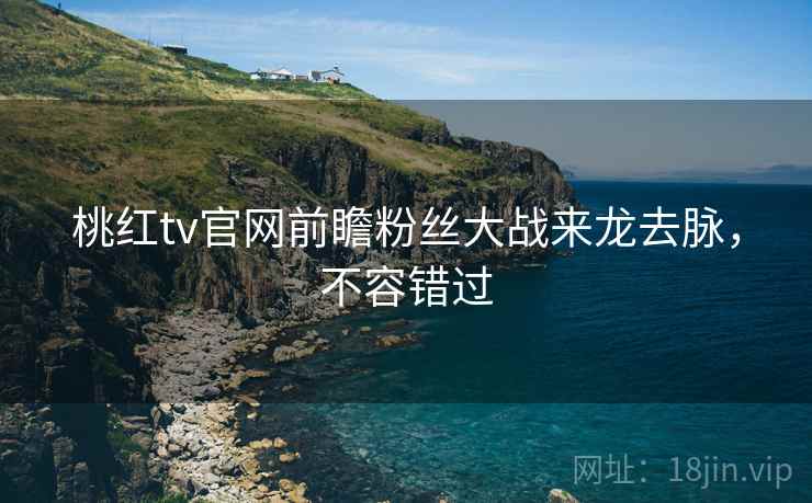 桃红tv官网前瞻粉丝大战来龙去脉，不容错过